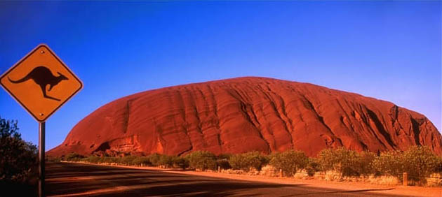 Kangaroo Sign in Australian Outback