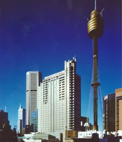 swissotel sydney hotel